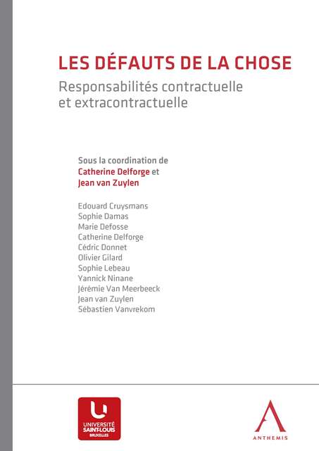 Les défauts de la chose