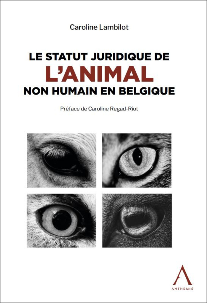 Le statut juridique de l'animal non humain en Belgique