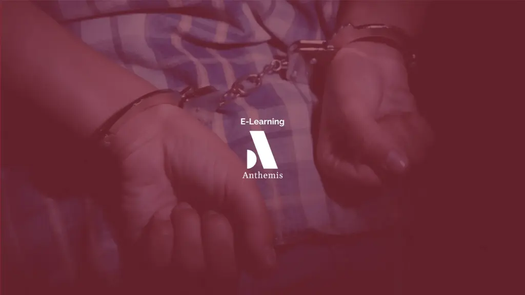 E-Learning - Loi Salduz à la suite à la loi du 28 mars 2024 : bilans et perspectives