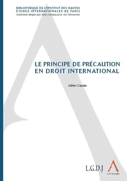 Le principe de précaution en droit international