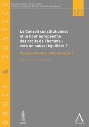 [DJ121] Conseil constitutionnel et Cour européenne des droits de l'homme : vers un nouvel équilibre