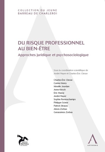 [RISBIE] Du risque professionnel au bien-être