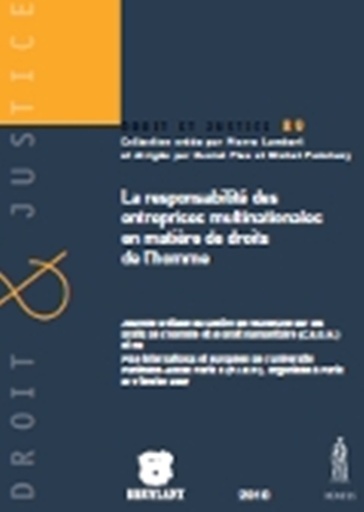 [DJ89] La responsabilité des entreprises multinationales en matière de droits de l’homme