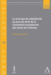 [DJ108] Le principe de subsidiarité au sens du droit de la Convention européenne des droits de l'homme