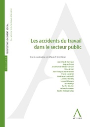 [ACCIPUB] Les accidents du travail dans le secteur public
