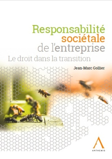[RSE] Responsabilité sociétale de l'entreprise