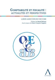 [COMPTAFIS] Comptabilité et fiscalité : actualités et perspectives