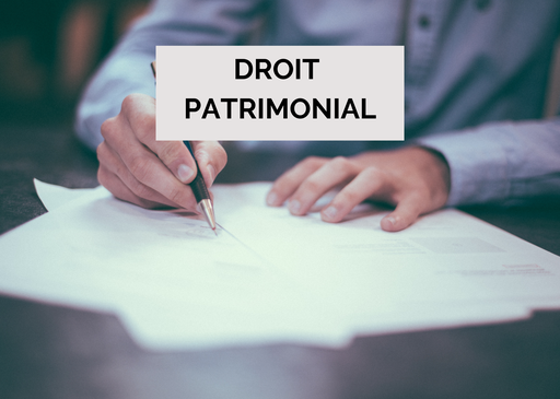 Modèles commentés : le testament