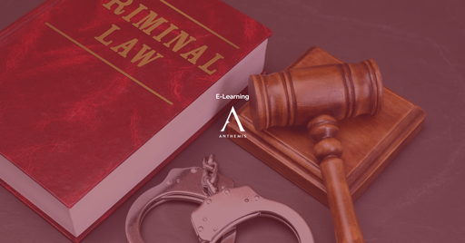 Triptyque 1 du nouveau Code pénal : Principes généraux du nouveau livre Ier du Code pénal
