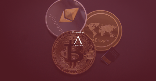 Conférences du midi - Détention et transmission des Bitcoins et autres cryptoactifs : aspect civils et fiscaux